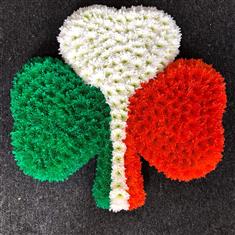 Shamrock