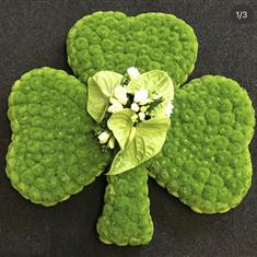 Shamrock Green 